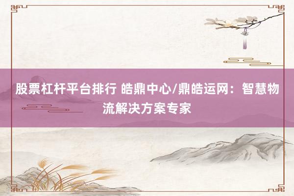 股票杠杆平台排行 皓鼎中心/鼎皓运网：智慧物流解决方案专家