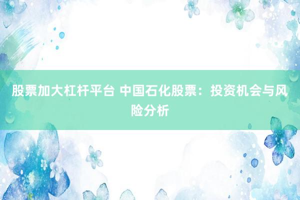股票加大杠杆平台 中国石化股票：投资机会与风险分析