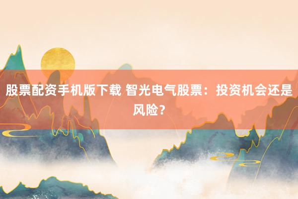 股票配资手机版下载 智光电气股票：投资机会还是风险？
