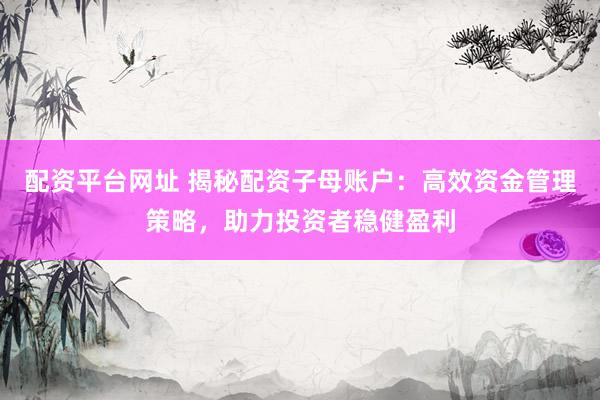 配资平台网址 揭秘配资子母账户：高效资金管理策略，助力投资者稳健盈利
