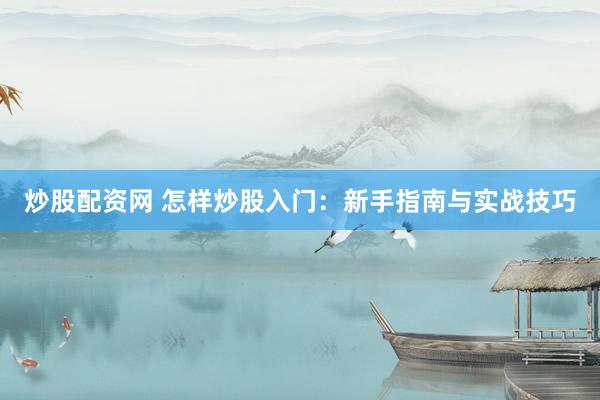 炒股配资网 怎样炒股入门：新手指南与实战技巧