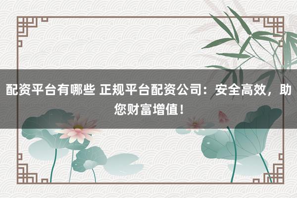 配资平台有哪些 正规平台配资公司：安全高效，助您财富增值！