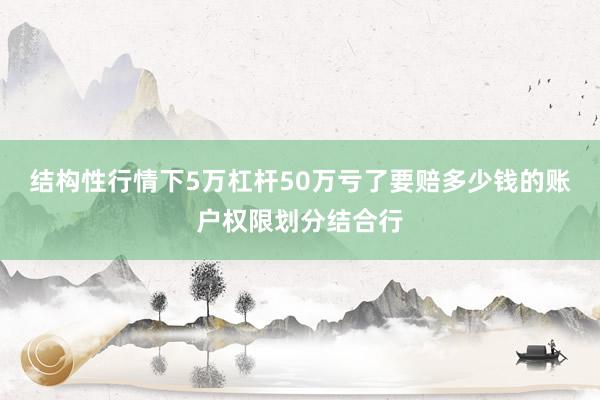 结构性行情下5万杠杆50万亏了要赔多少钱的账户权限划分结合行