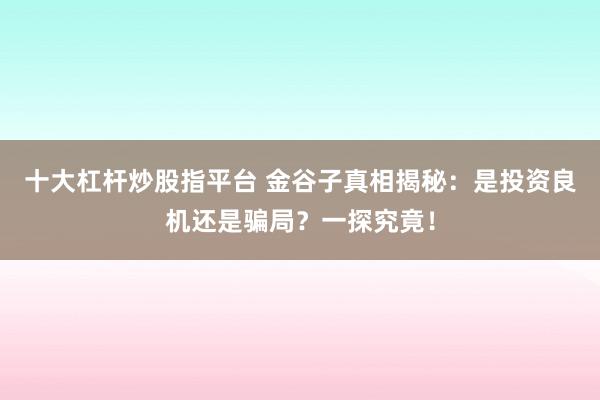 十大杠杆炒股指平台 金谷子真相揭秘：是投资良机还是骗局？一探究竟！